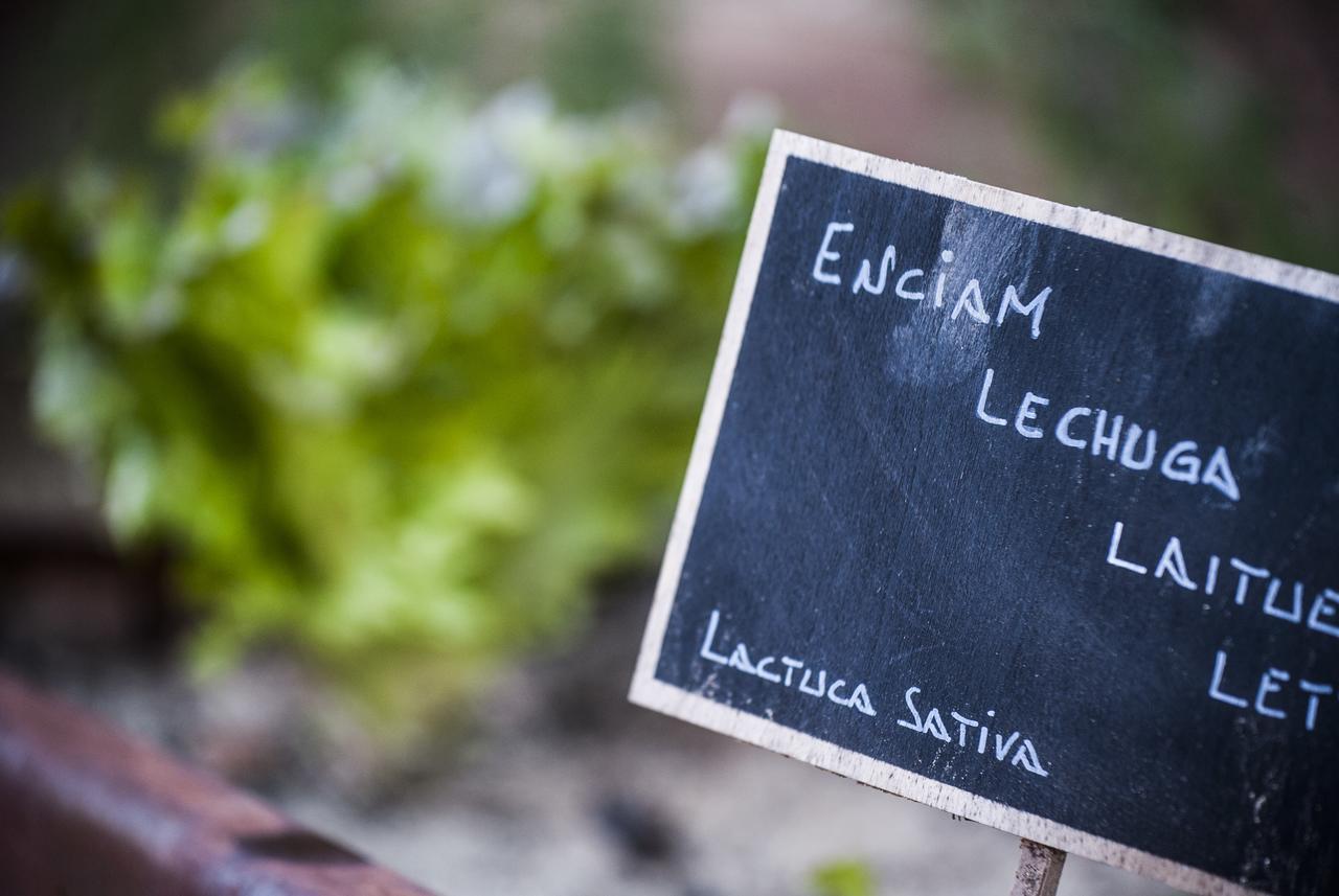 Mas Tapiolas Santa Cristina d'Aro Eksteriør billede